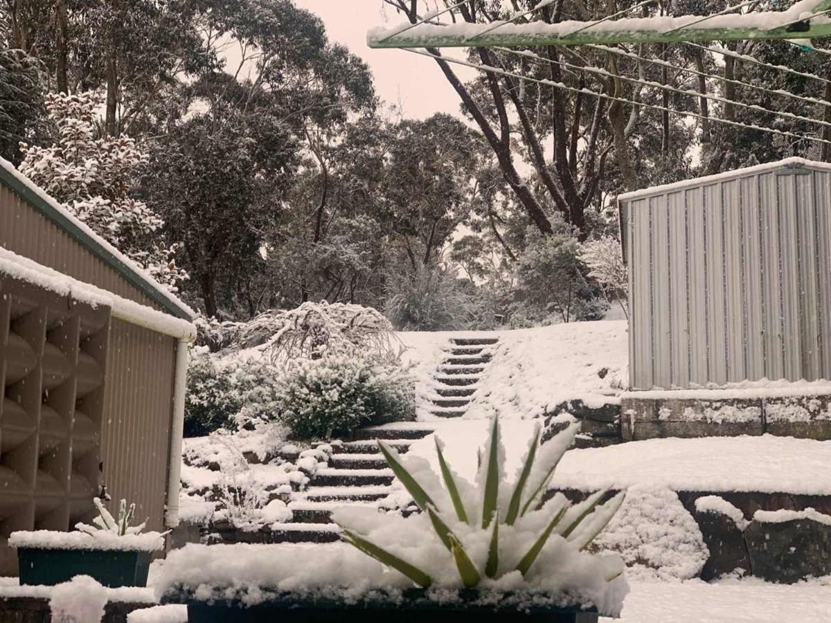 Sunflower Cottage Katoomba Exterior photo